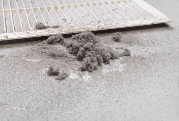 Best Ductwork Cleaning Services  in Falls Church, VA