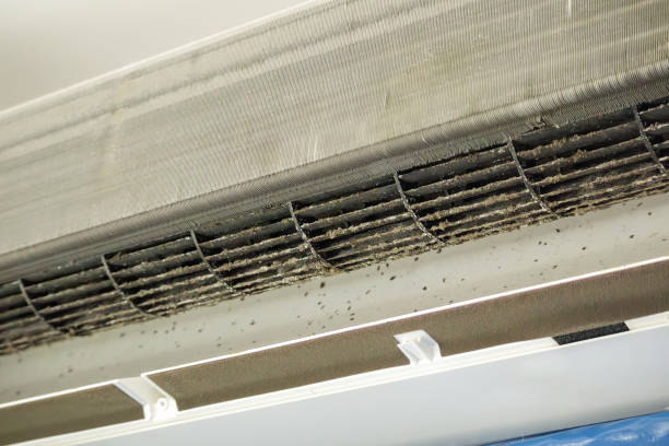Best HVAC Air Duct Cleaning  in Falls Church, VA